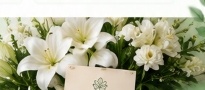 Rangkaian Bunga Lilies & Greeting Card